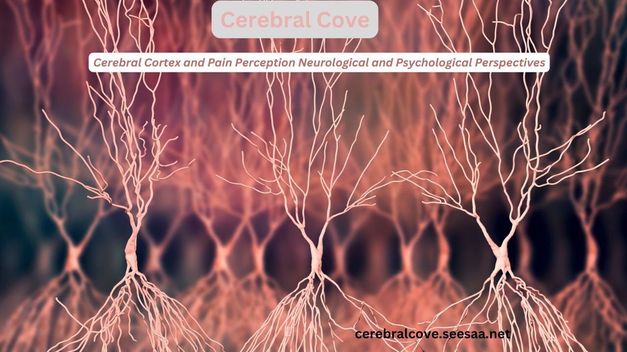 Cerebral Cortex and Pain Perception Neurological and Psychological ...